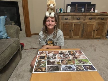 Cider the Cat on the Head and a Cat Puzzle